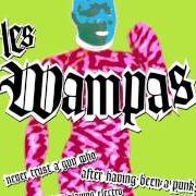 El texto musical MANU CHAO de LES WAMPAS también está presente en el álbum Never trust a guy who after having been a punk, is now playing electro (2003)