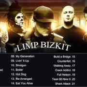 El texto musical I GUESS I'M A DREAMER de LIMP BIZKIT también está presente en el álbum Greatest hits (2005)