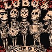 El texto musical LOS OJOS DE PANCHA de LOS LOBOS también está presente en el álbum Acoustic en vivo (2005)