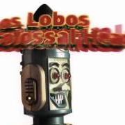 El texto musical LITTLE JAPAN de LOS LOBOS también está presente en el álbum Colossal head (1996)