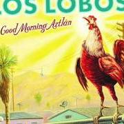 El texto musical DONE GONE BLUE de LOS LOBOS también está presente en el álbum Good morning aztlan (2002)