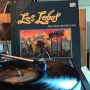 El texto musical BE STILL de LOS LOBOS también está presente en el álbum The neighborhood (1990)