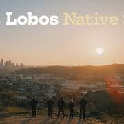 El texto musical WHERE LOVERS GO de LOS LOBOS también está presente en el álbum Native sons (2021)