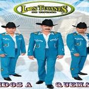 El texto musical EL ARBOL de LOS TUCANES DE TIJUANA también está presente en el álbum Corridos a quema ropa (2013)