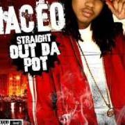 El texto musical WHO BANGING de MACEO también está presente en el álbum Straight out the pot (2005)