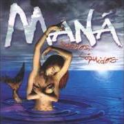 El texto musical HECHICERA de MANÁ también está presente en el álbum Sueños líquidos (1997)