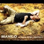El texto musical IL PAZZO de MANGO también está presente en el álbum La terra degli aquiloni (2011)