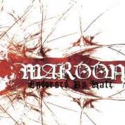 El texto musical WITHOUT A FACE de MAROON también está presente en el álbum Endorsed by hate (2004)
