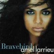 El texto musical ALL I GOT de AMEL LARRIEUX también está presente en el álbum Bravebird (2004)