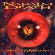 El texto musical STRANGER NOW de NAPALM DEATH también está presente en el álbum Breed to breathe (1997)