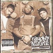 El texto musical THE SHIVERS de NAUGHTY BY NATURE también está presente en el álbum Nineteen naughty nine: nature's fury (1999)
