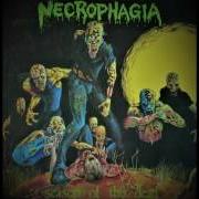 El texto musical REINCARNATION de NECROPHAGIA también está presente en el álbum Season of the dead (1987)