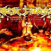 El texto musical STITCH HER FURTHER de NECROPHAGIA también está presente en el álbum Harvest ritual vol. 1 (2005)