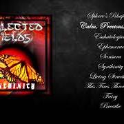 El texto musical ESCHATOLOGICAL de NEGLECTED FIELDS también está presente en el álbum Synthinity (1997)