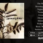 El texto musical NIGHTFALL de AMORPHIS también está presente en el álbum Tuonela (1999)