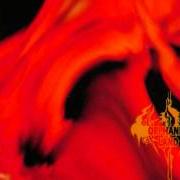 El texto musical LIKE FIRE TO WATER de ORPHANED LAND también está presente en el álbum El norra alila (1996)