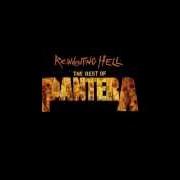 El texto musical CEMETERY GATES de PANTERA también está presente en el álbum The best of pantera: far beyond the great southern cowboy's vulgar hits (2003)
