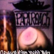 El texto musical ORANGE DRIVE PALMS de PAPA ROACH también está presente en el álbum Old friends from young years (1997)
