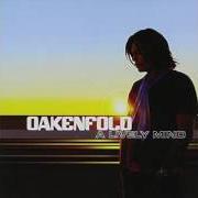 El texto musical JUST THE WAY de PAUL OAKENFOLD también está presente en el álbum A lively mind (2006)