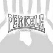 El texto musical NO SHAME de PERKELE también está presente en el álbum Songs for you (2008)