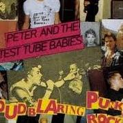 El texto musical STUDENT WANKERS de PETER & THE TEST TUBE BABIES también está presente en el álbum The loud blaring punk rock album (1985)