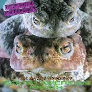 El texto musical NO INVITATION de PETER & THE TEST TUBE BABIES también está presente en el álbum The mating sounds of south american frogs (1983)