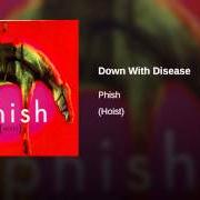 El texto musical LIFEBOY de PHISH también está presente en el álbum Hoist (1994)