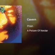 El texto musical CHALK DUST TORTURE de PHISH también está presente en el álbum Picture of nectar (1992)