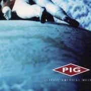 El texto musical FLESH FEST de PIG también está presente en el álbum Genuine american monster (2002)