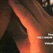 El texto musical A TESTA IN GIÙ de PINO DANIELE también está presente en el álbum Yes i know my way (1998)