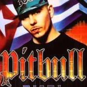 El texto musical MALDITO ALCOHOL (PITBULL VS. AFROJACK) de PITBULL también está presente en el álbum Armando (2010)