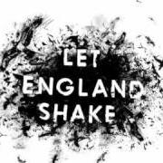 El texto musical BITTER BRANCHES de PJ HARVEY también está presente en el álbum Let england shake (2011)