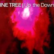 El texto musical BURNING SKY de PORCUPINE TREE también está presente en el álbum Up the downstairs (1993)