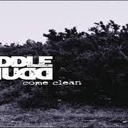 El texto musical PISS IT ALL AWAY de PUDDLE OF MUDD también está presente en el álbum Come clean (2001)