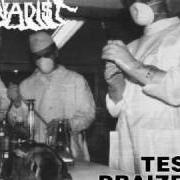 El texto musical THE SILLY THING de QUO VADIS también está presente en el álbum Test dreizea (1995)