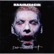 El texto musical BESTRAFE MICH de RAMMSTEIN también está presente en el álbum Sehnsucht (1997)