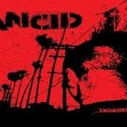 El texto musical IVORY COAST de RANCID también está presente en el álbum Indestructible (2003)