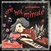 El texto musical ONE HOT MINUTE de RED HOT CHILI PEPPERS también está presente en el álbum One hot minute (1995)