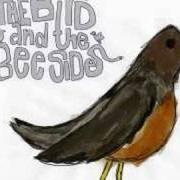 El texto musical BEE YOUR MAN de RELIENT K también está presente en el álbum The bird and the bee sides (2008)