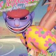 El texto musical BE COOL de RIPPINGTONS también está presente en el álbum Life in the tropics (2001)