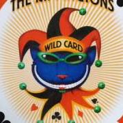 El texto musical MULATA DE MI AMOR de RIPPINGTONS también está presente en el álbum Wild card (2005)