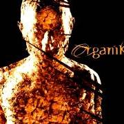 El texto musical IMPROVISATIONS PART 1 de ROBERT MILES también está presente en el álbum Organik (2001)
