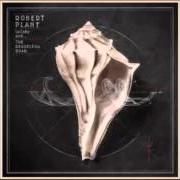 El texto musical POOR HOWARD de ROBERT PLANT también está presente en el álbum Lullaby and...The ceaseless roar (2014)