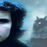 El texto musical YO TE AMO, YO TE AMO de ROBERTO CARLOS también está presente en el álbum Un gato en la oscuridad