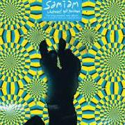 El texto musical BELIEVER de SAMIAM también está presente en el álbum Whatever's got you down (2006)