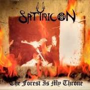 El texto musical THE NIGHT OF THE TRIUMPHATOR de SATYRICON también está presente en el álbum The forest is my throne (split w/enslaved) (1995)