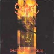 El texto musical SKINLESS de SEANCE también está presente en el álbum Saltrubbed eyes (1993)