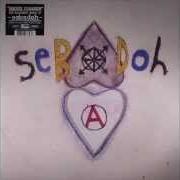 El texto musical SEPARATE de SEBADOH también está presente en el álbum Defend yourself (2013)