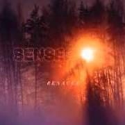 El texto musical MI AMOR de SENSES FAIL también está presente en el álbum Renacer (2013)