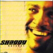 El texto musical IT WASN'T ME de SHAGGY también está presente en el álbum Hot shot (2000)